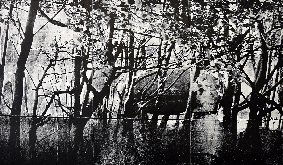 "realism"; woodcut, laserphotography; 70x120cm; 2018; Genaro Strobel