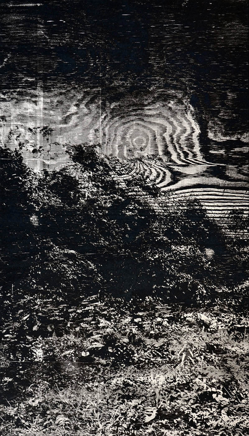 Blue silence, 2011, wood engraving (pine), 80 x 50 cm, Genaro Strobel