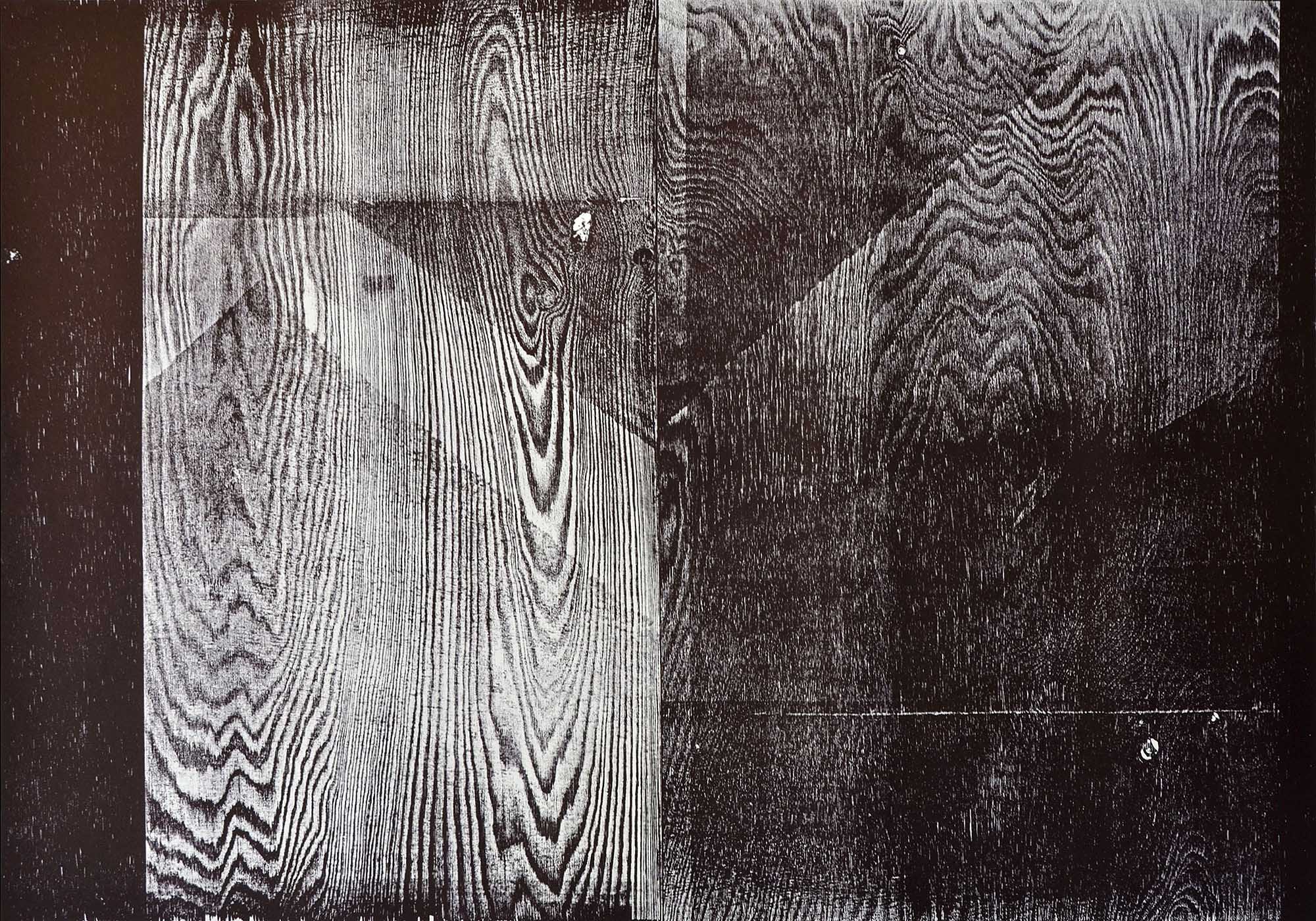 Lake Mountain, 2014, wood engraving (pine), 70 x 100 cm, Genaro Strobel