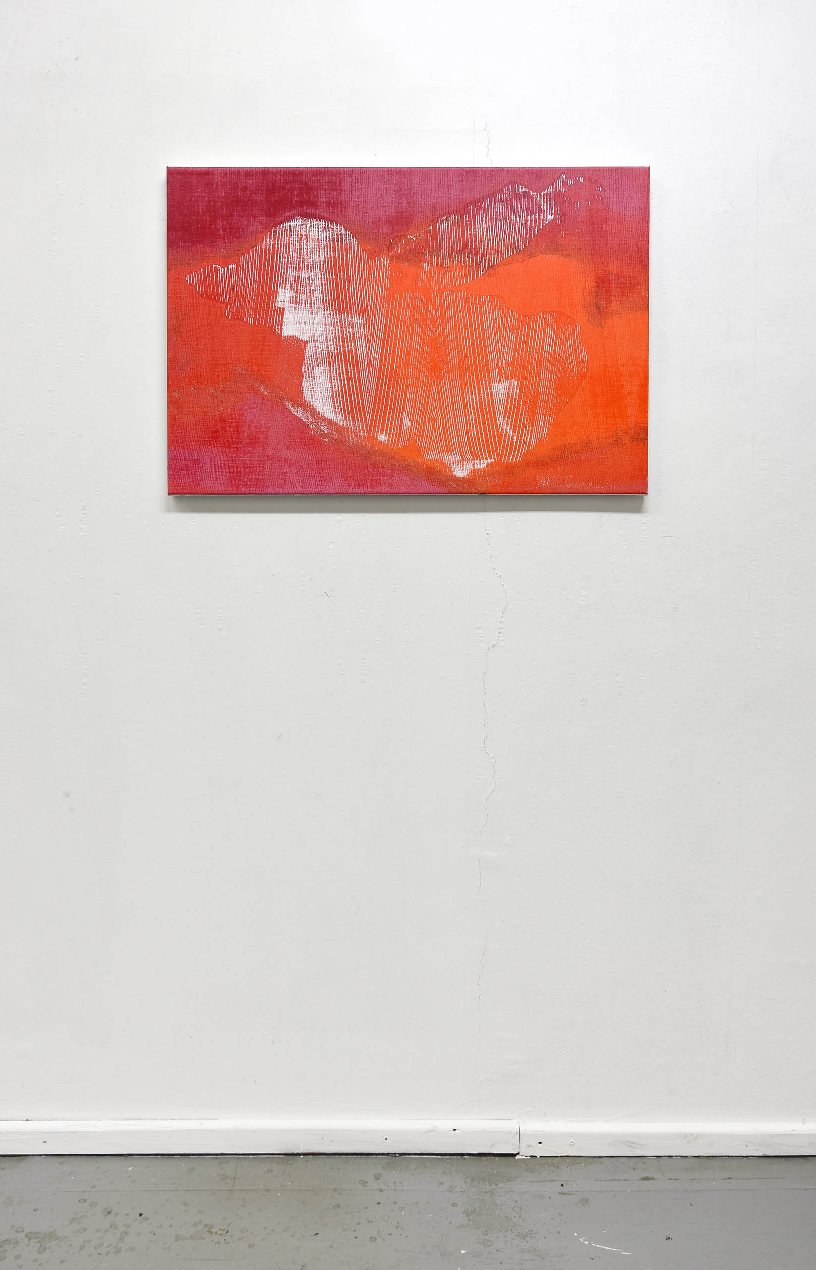 Poppy I, 2023, oil on canvas, ash, 60,4 x 90,1 cm, Genaro Strobel